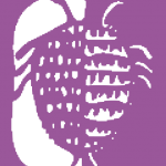 Cochenille Distribution Page