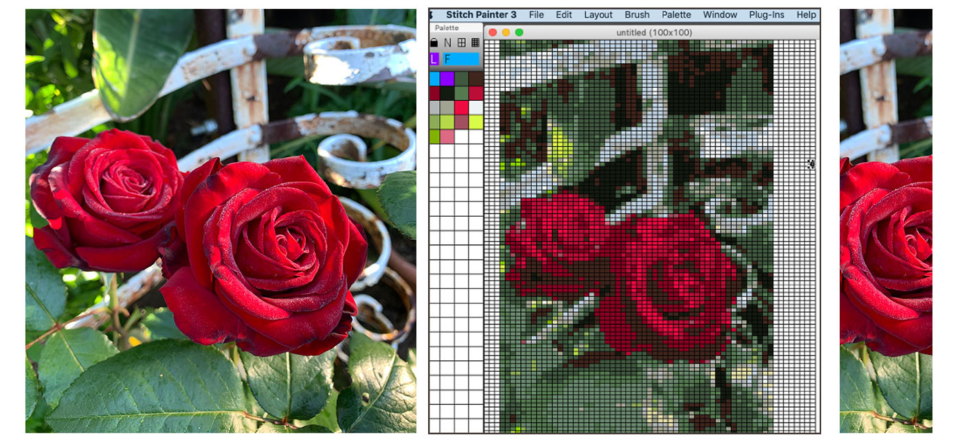 Stitch Painter Software Gridded Rose